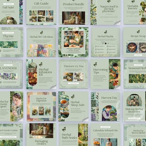 Herbal Social Posts, Instagram Post Canva Herbs, Social Media Posts ...