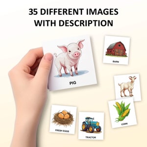 May include: A set of six illustrated flashcards featuring farm animals, farm equipment, and farm produce. The cards feature a pig, a barn, a goat, corn, fresh eggs, and a tractor. Each card has a simple illustration and the name of the item printed below the image.