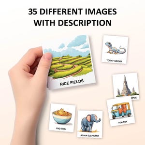 Puede incluir: Un conjunto de 35 tarjetas ilustradas que presentan diversos aspectos de la cultura tailandesa, como campos de arroz, un tuk-tuk, un elefante, pad thai y un templo. Cada tarjeta tiene una ilustraci&oacute;n colorida y una etiqueta descriptiva.
