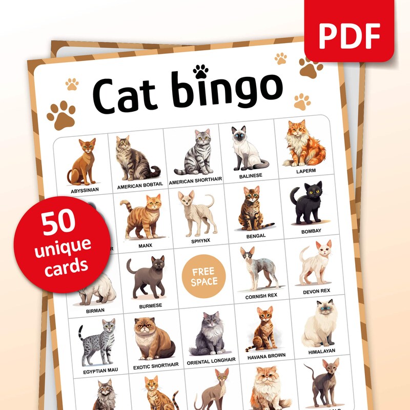 Cat Birthday Cards Etsy
