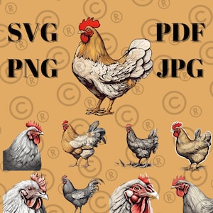 Chicken Clip Art Bundle - SVG, PDF, PNG, Jpeg Files Included