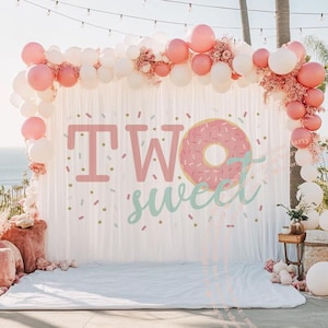 Two Sweet Toddler Donut Backdrop, Donut Theme Second Birthday Girl Party Decor, Second Birthday Party Donut 2nd Birthday Background 2 Sweet