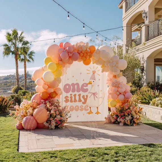 Cute Silly Goose Backdrop, One Silly Goose 1st Birthday Backdrop Girl Silly Goose Banner 1st Birthday Silly Goose Party Decor Photo Backdrop