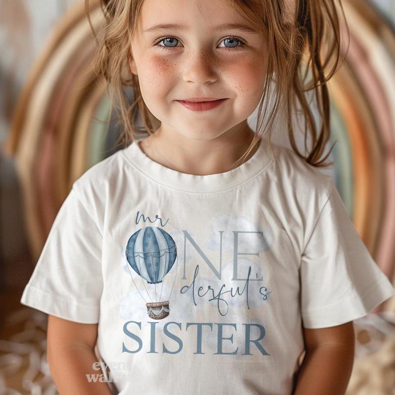 Sister of Mr Onederful Shirt, Blue Hot Air Balloon Birthday Party Shirts, Mr Wonderful Shirt, Isnt He Onederful 1st Birthday Boy Cake Smash