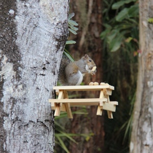 May include: A gray squirrel sits on a miniature wooden picnic table, eating a peanut. The table is attached to a tree trunk.