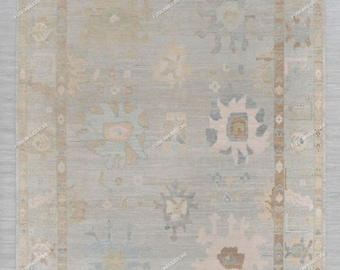 May include: A light blue rug with a beige border and a pattern of stylized flowers in shades of beige, light blue, and pink.