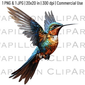 Humming Bird Clipart | Humming Bird Transparent PNG | Exotic Bird Avian Graphic Design Illustration | Sublimation Design | Commercial Use
