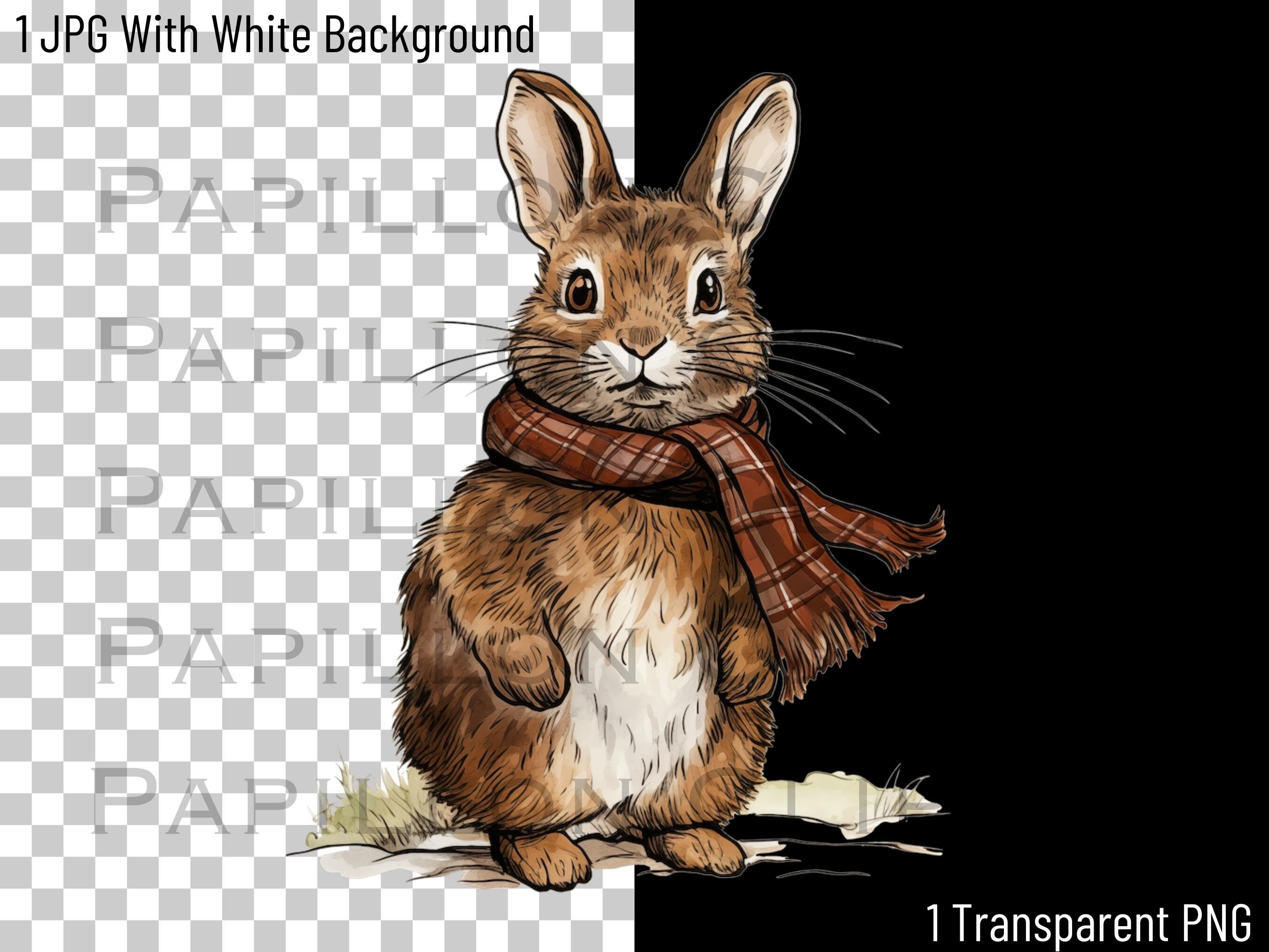 Cute Rabbit Clipart | Cute Watercolor Bunny Clip Art Transparent PNG ...