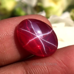 Può includere: Una gemma lucida, di forma ovale, rosso intenso, con un motivo a stella a sei raggi. La gemma è tenuta tra le dita, con il testo "GEMSELECTINDIA" visibile. Lo sfondo è sfocato, con elementi floreali bianchi e verdi.