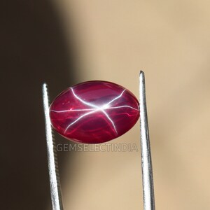 May include: A polished, oval-shaped, deep red gemstone with a six-rayed star pattern. The gem is held by silver tweezers against a neutral background. The gem's surface reflects light, showcasing its star effect.