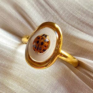 Peut inclure: Une bague dorée dotée d'un sertissage ovale avec une incrustation blanche lisse. Au centre de l'incrustation blanche se trouve une petite coccinelle orange détaillée avec des points noirs. L'anneau est en or poli et présente un design simple.