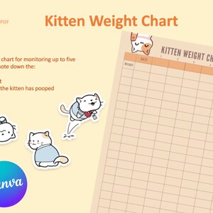 Customizable Kitten Weight Chart Canva Template Digital Etsy