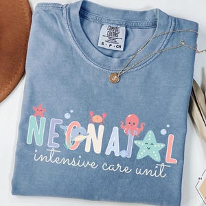 Nicu Nurse Shirt, Nicu Graduates, Mother Baby Unit Shirt, Gift for Nicu Nurse, New Nurse Gift, Nicu Nurse T Shirt