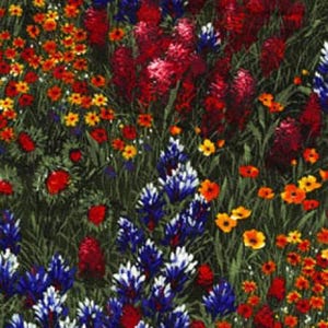 Flowers bloom,Birds tweet,Wind blows&Mo… Local Florist
