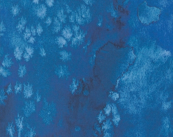Coming Up Roses by Create Joy Project for Moda Sapphire (8433 83) Sold by the Half Yard