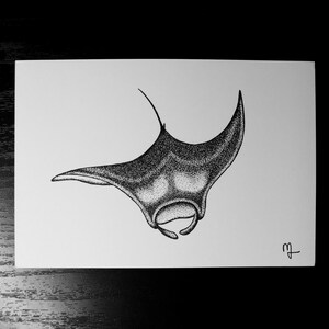 Manta Ray Print