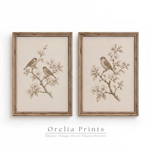 Op de afbeelding: Twee ingelijste wandprints met sepia-kleurige botanische illustraties van vogels op bloeiende takken. De linker print toont twee vogels, de rechter print toont één vogel. De tekst Orelia Prints Timeless Vintage Art for Elegant Interiors is onderaan zichtbaar.
