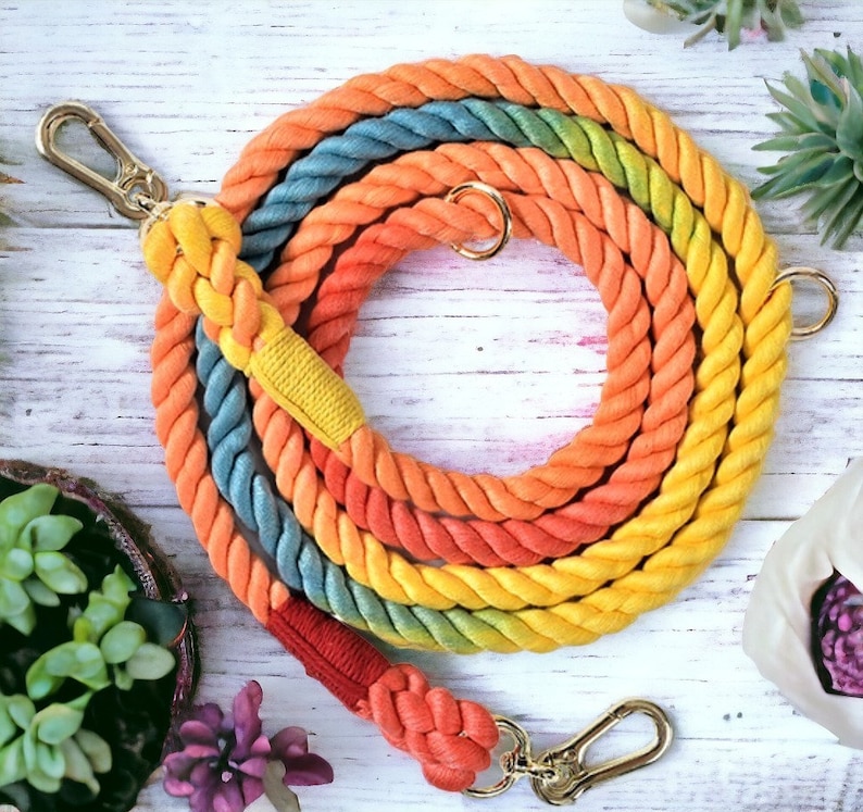 Rainbow Hands-free Dog Leash: Multi-use Sports Lead - Etsy