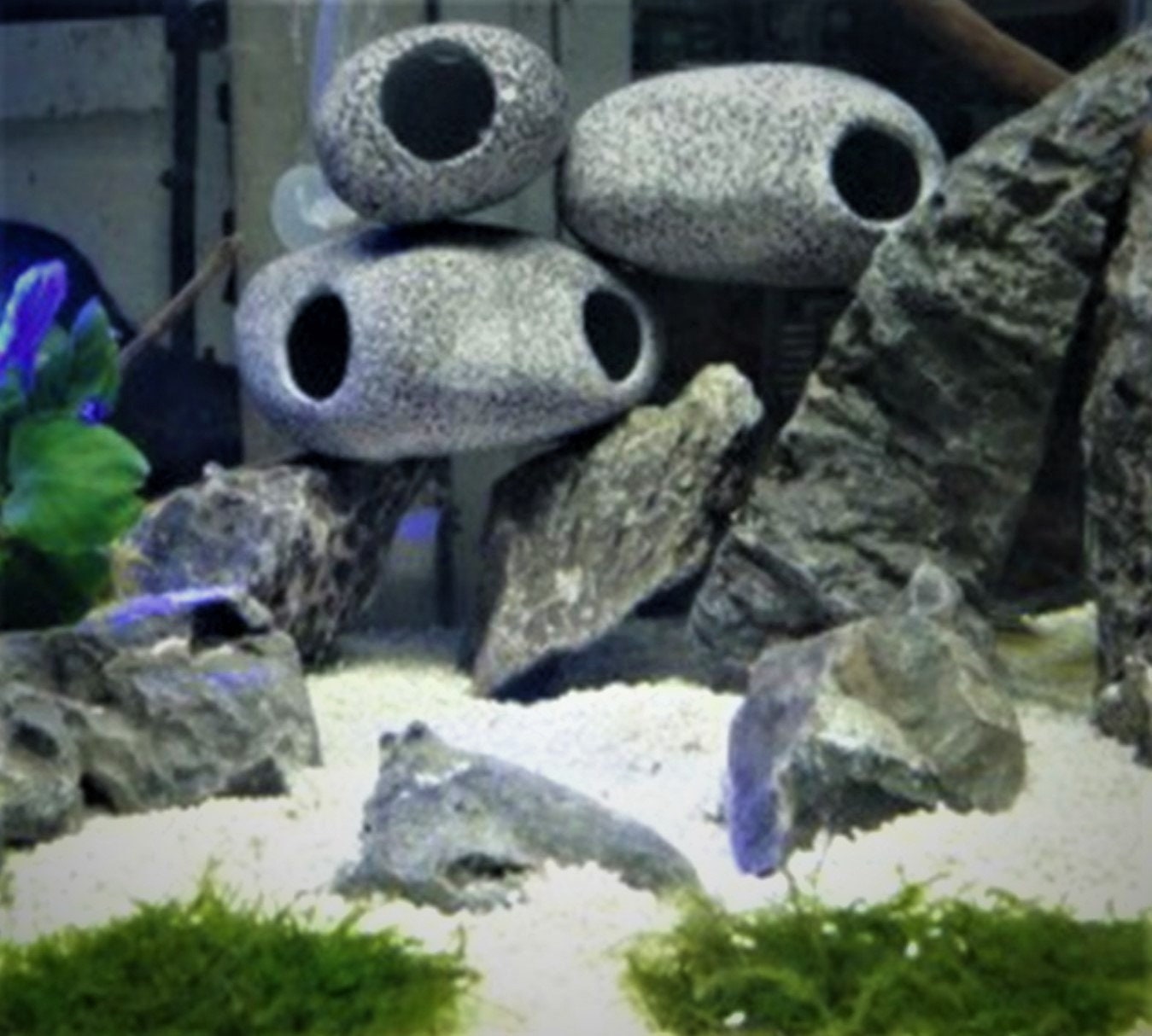 Aquarium Keramiek schuilplek voor garnalen en vissen | ShrimpMania Aquarium Keramiek schuilplek voor garnalen en vissen | ShrimpMania