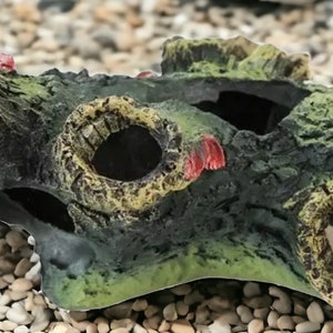 Aquarium Hide Tree Root - Perfect seclusion spot for Fish tank - Shrimp - Frog - Guppy -