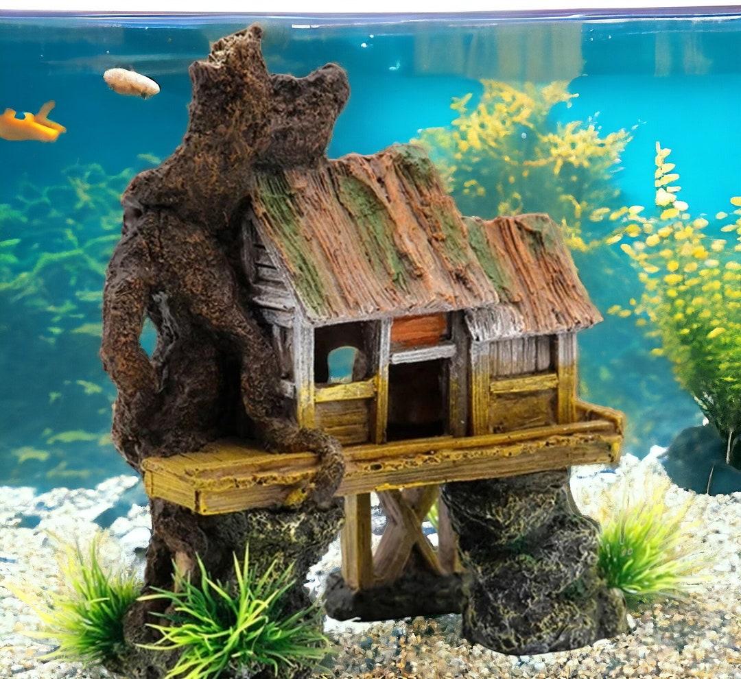 Fish aquarium stuff sale