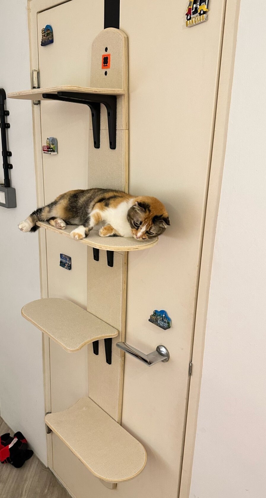 over the door cat tree diy