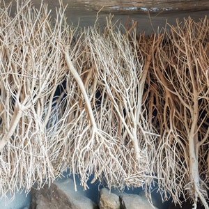 Aquarium aquascaping bleke wortels voor tankdecoratie - perfecte schuilplaats voor vissen mooie tankinrichting - aquarium garnalen tankterrarium