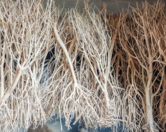 Aquarium aquascaping Pale Roots for tank decoration - Perfect hiding place for fish beautiful tank decor - fish tank shrimp tank terrarium