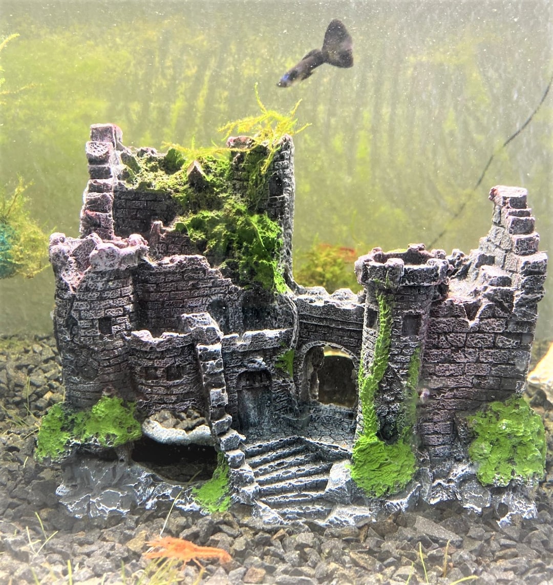 沈没城水槽装飾：樹脂製魚＆エビ水槽オーナメント - Etsy 日本