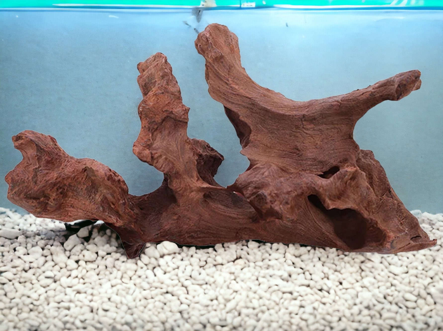 超大型　流木　水槽　熱帯魚　アクア　水草 魚用品・水草 超大型流木 水槽用 アクアリウム③