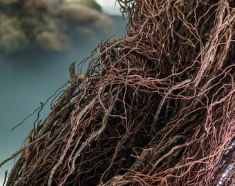 Aquarium Driftwood Roots - Bushy tank wood for aquascaping - Perfect for fry, shrimp or terrarium.