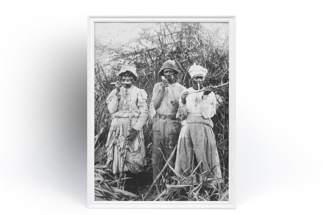 Cane Cutters in Jamaica 3 Black People Farmer Sugar Plantation Etsy UK