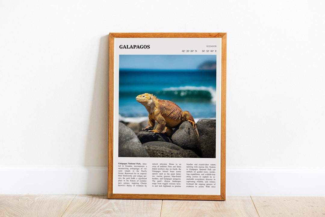 Galápagos Islands Wall Art Printable Poster Galápagos Islands Digital ...