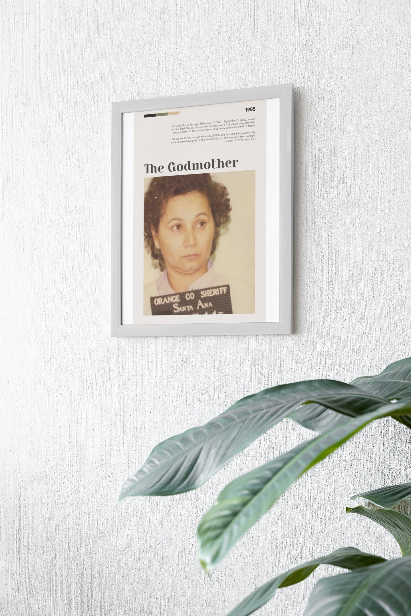 The Rise And Fall Of The Medellin Cartel Willy Falcon And Griselda Blanco - 2j9uqxo