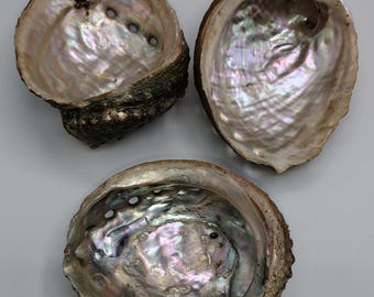 Natural Abalone Shell for Smudging, Iridescent Paua Shell, Smudge Bowl, Sage Holder, Cleansing Ritual Decor, Random Exact Shell Shown