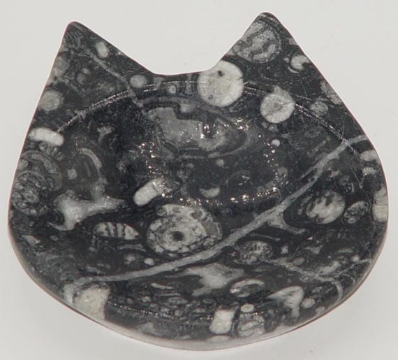 Orthoceras Fossil Trinket Dish | Choose Exact Heart Cat Flower Dish | Madagascar Fossil Bowl