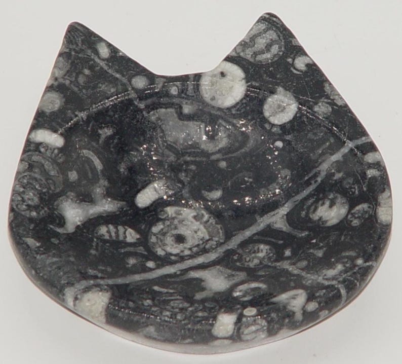 May include: A black and white stone dish shaped like a cat's head. The dish has a rounded bottom and two pointed ears at the top. The stone has a unique pattern of circular and linear markings.