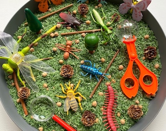 Bug Hunt Sensory Tray Kit