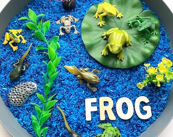 Frog Pond Sensory Play Kit