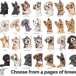 May include: A chart of different dog breeds, with each breed illustrated as a cartoon dog peeking over a white border. The chart includes breeds such as Schnauzer, Shetland Sheepdog, Shih Tzu, Yorkshire Terrier, Afghan Hound, Akita Inu, Alaskan Malamute, Australian Shepherd, Bernese Mountain Dog, Black Russian Terrier, Borzoi, Bouvier des Flandres, Boxer, Bullmastiff, Belgian Malinois, Cane Corso, and Czechoslovakian Wolfdog.