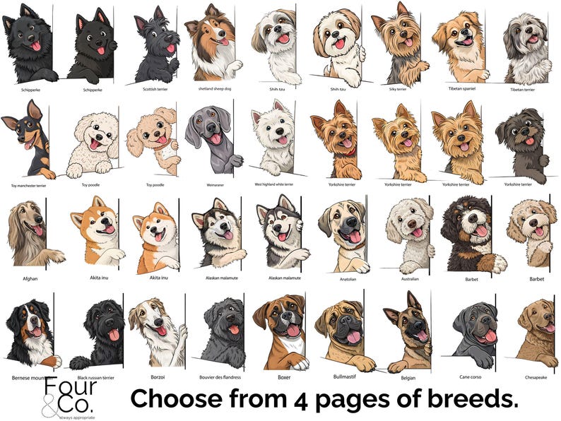 May include: A chart of different dog breeds, with each breed illustrated as a cartoon dog peeking over a white border. The chart includes breeds such as Schnauzer, Shetland Sheepdog, Shih Tzu, Yorkshire Terrier, Afghan Hound, Akita Inu, Alaskan Malamute, Australian Shepherd, Bernese Mountain Dog, Black Russian Terrier, Borzoi, Bouvier des Flandres, Boxer, Bullmastiff, Belgian Malinois, Cane Corso, and Czechoslovakian Wolfdog.