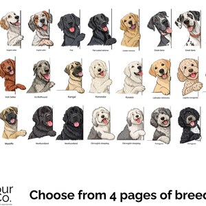 May include: A chart of different dog breeds, each illustrated with a cartoon dog peeking around a corner. The breeds are listed below each dog, including Great Pyrenees, Irish Setter, Irish Wolfhound, Komondor, Old English Sheepdog, and more.