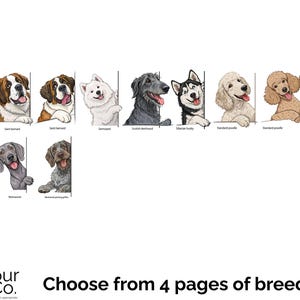 May include: A collage of different dog breeds, each with a unique personality and expression. The dogs are shown peeking out from behind a white background, with their breed names listed below each image. The image includes breeds such as Rottweiler, Saint Bernard, Samoyed, Scottish Deerhound, Siberian Husky, Standard Poodle, and Tibetan Mastiff.