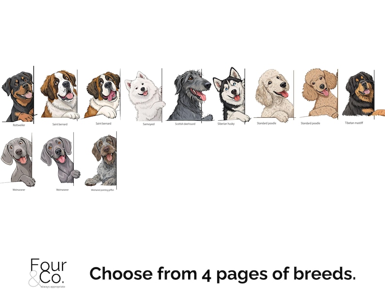 May include: A collage of different dog breeds, each with a unique personality and expression. The dogs are shown peeking out from behind a white background, with their breed names listed below each image. The image includes breeds such as Rottweiler, Saint Bernard, Samoyed, Scottish Deerhound, Siberian Husky, Standard Poodle, and Tibetan Mastiff.