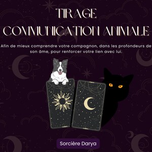 Tirage communication animale (3 cartes)