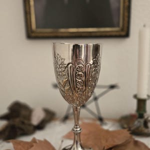 Engraved Chalice/Silver Plated Metal Glass, Offering Cup for Witch Altar, Wicca. Spells, Rituals