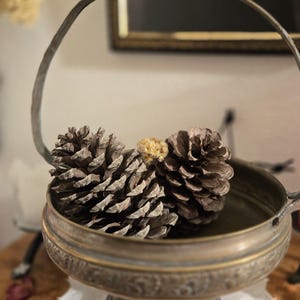 Offering bowl/cup/basket in brass/copper - altar tool for witches, pagans, wiccans, rituals - magic - curiosities