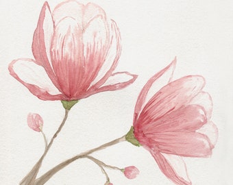 Magnolie w rozkwicie
