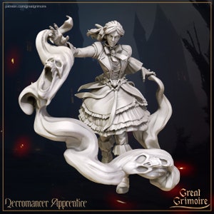 May include: A white, 3D printed figurine of a female necromancer apprentice casting a spell. She is wearing a long, flowing dress with ruffles and a heart-shaped pendant. She is surrounded by swirling, ethereal smoke with skulls emerging from it. The text "Necromancer Apprentice" is printed below the figurine.