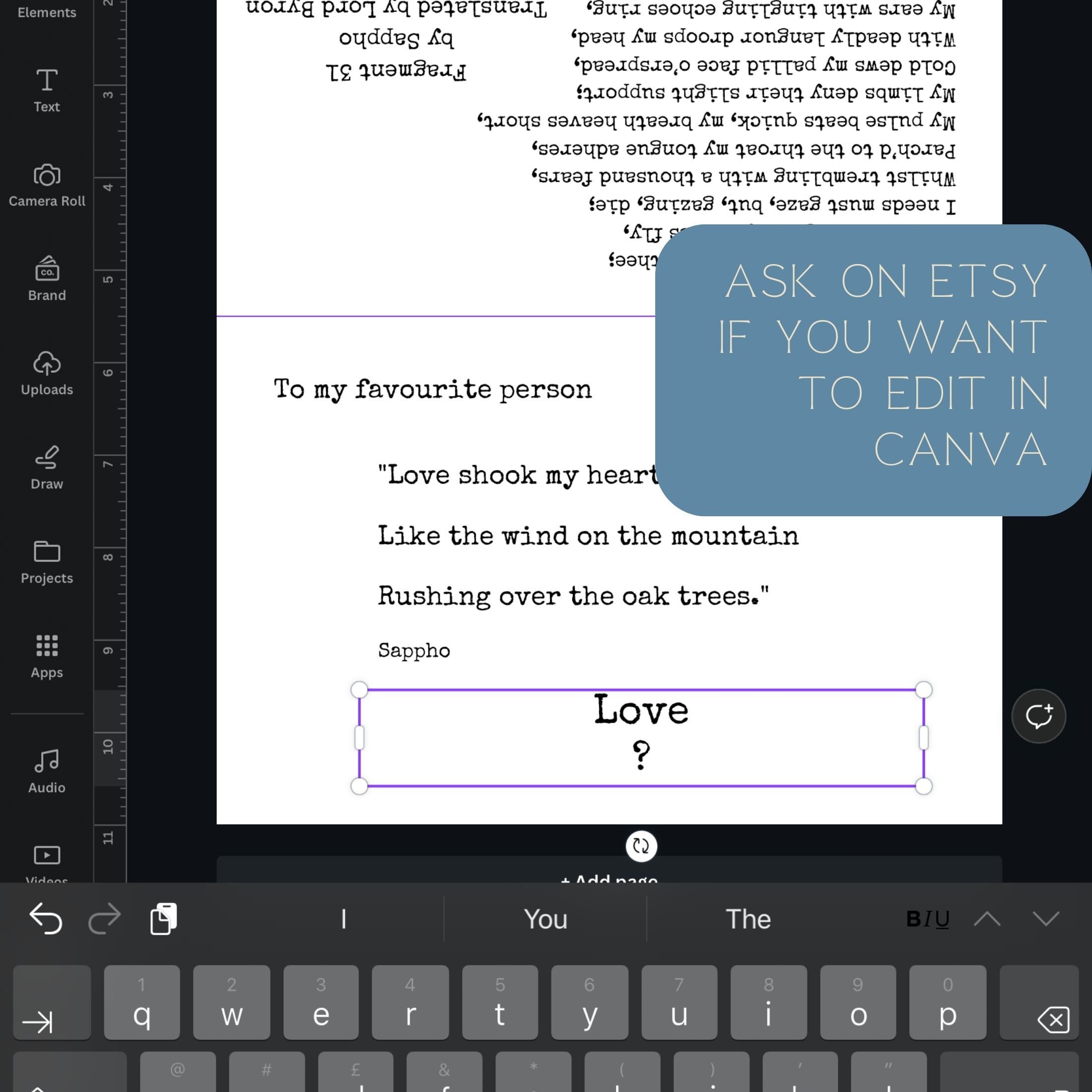Zebra Finch Mating Dance in Ubud Bali Subtle Pride Gay Birds LGBTQ Love